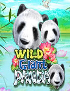 mm8bet ถอนเงิน พร้อมเทคนิคเล่นเกมสล็อตสุดปัง