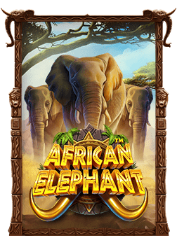 เว็บ สล็อต ยอดนิยม 2021: ทำความรู้จักเกมสุดฮิต